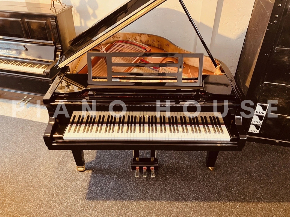 FEURICH 162  & DYNAMIC I (Black Polish & Brass)